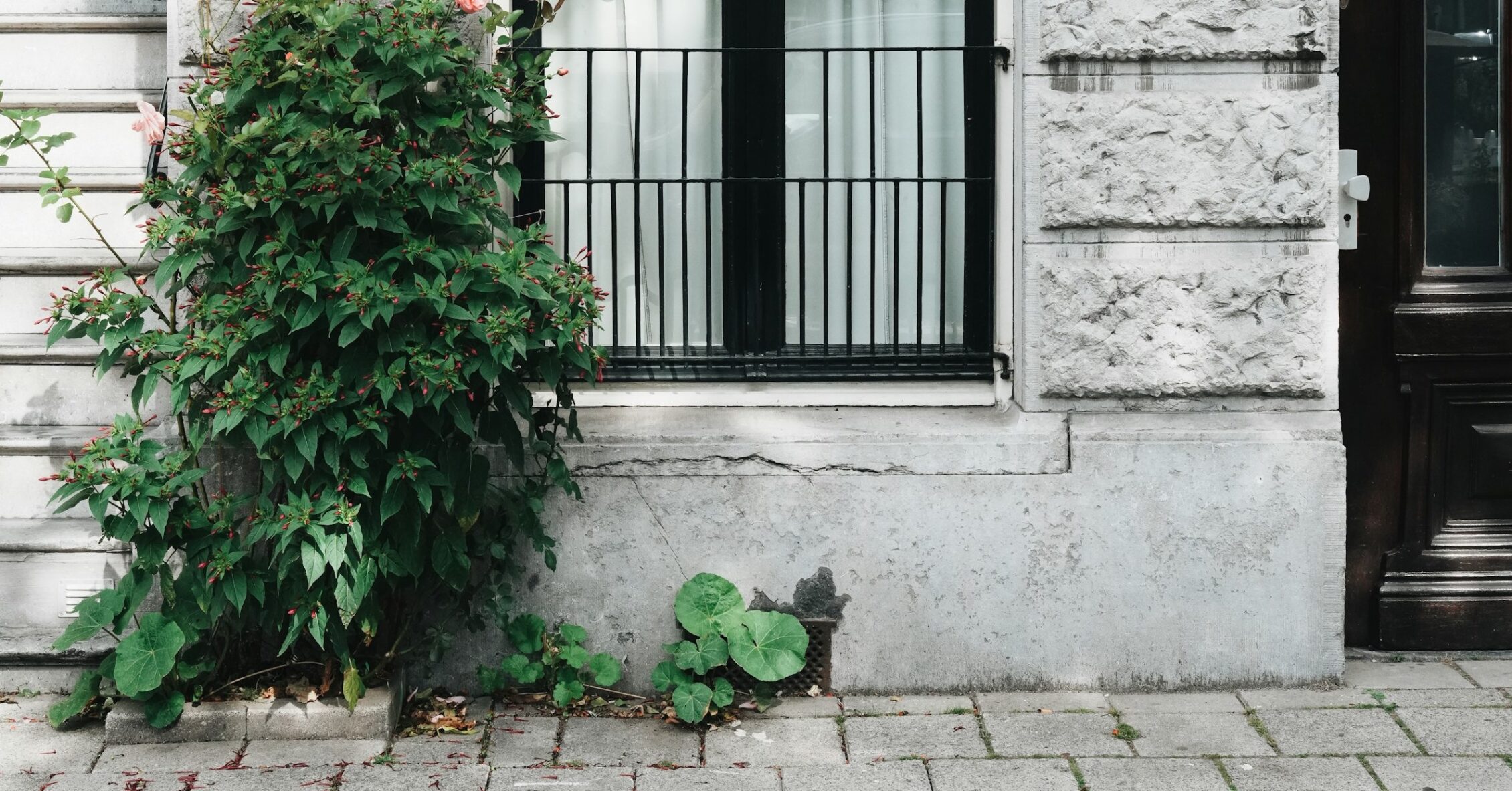 soubassement façade maison