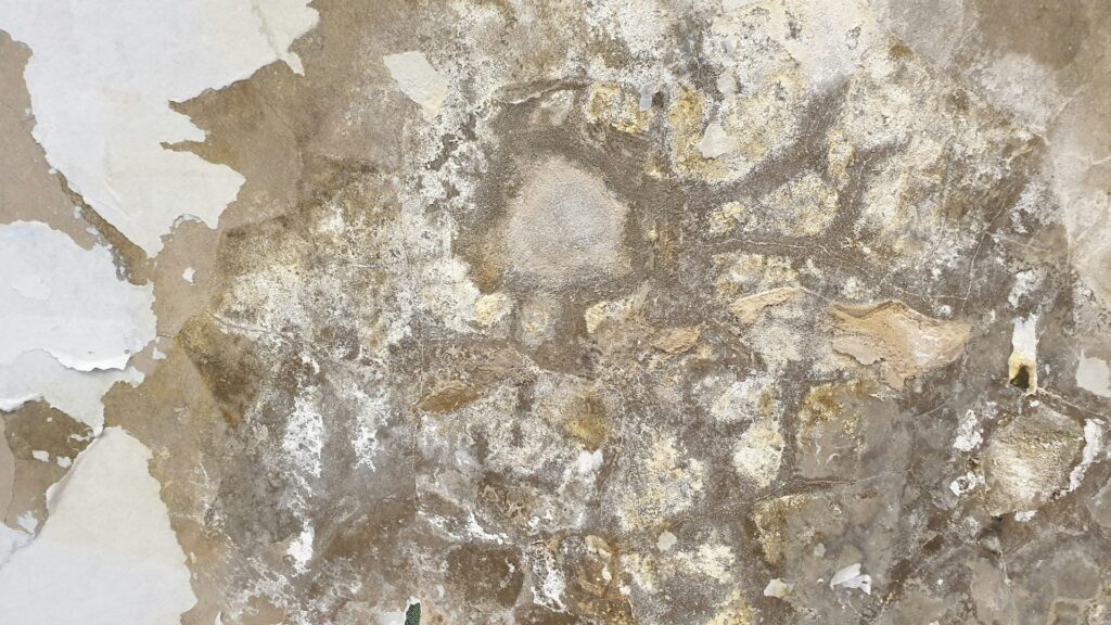 mur humide maison ancienne